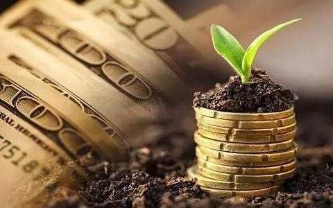 期货外盘用美金